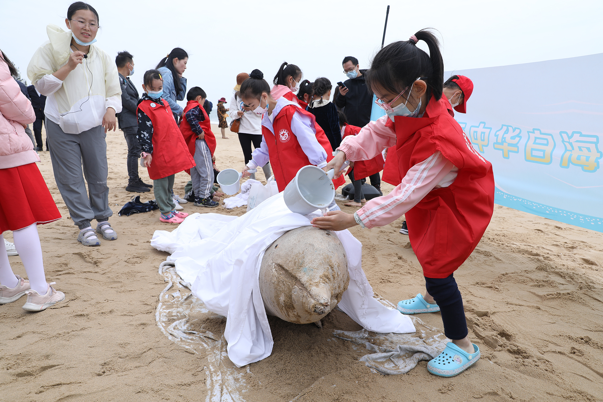 中華白海豚救護研學(xué) (1).JPG